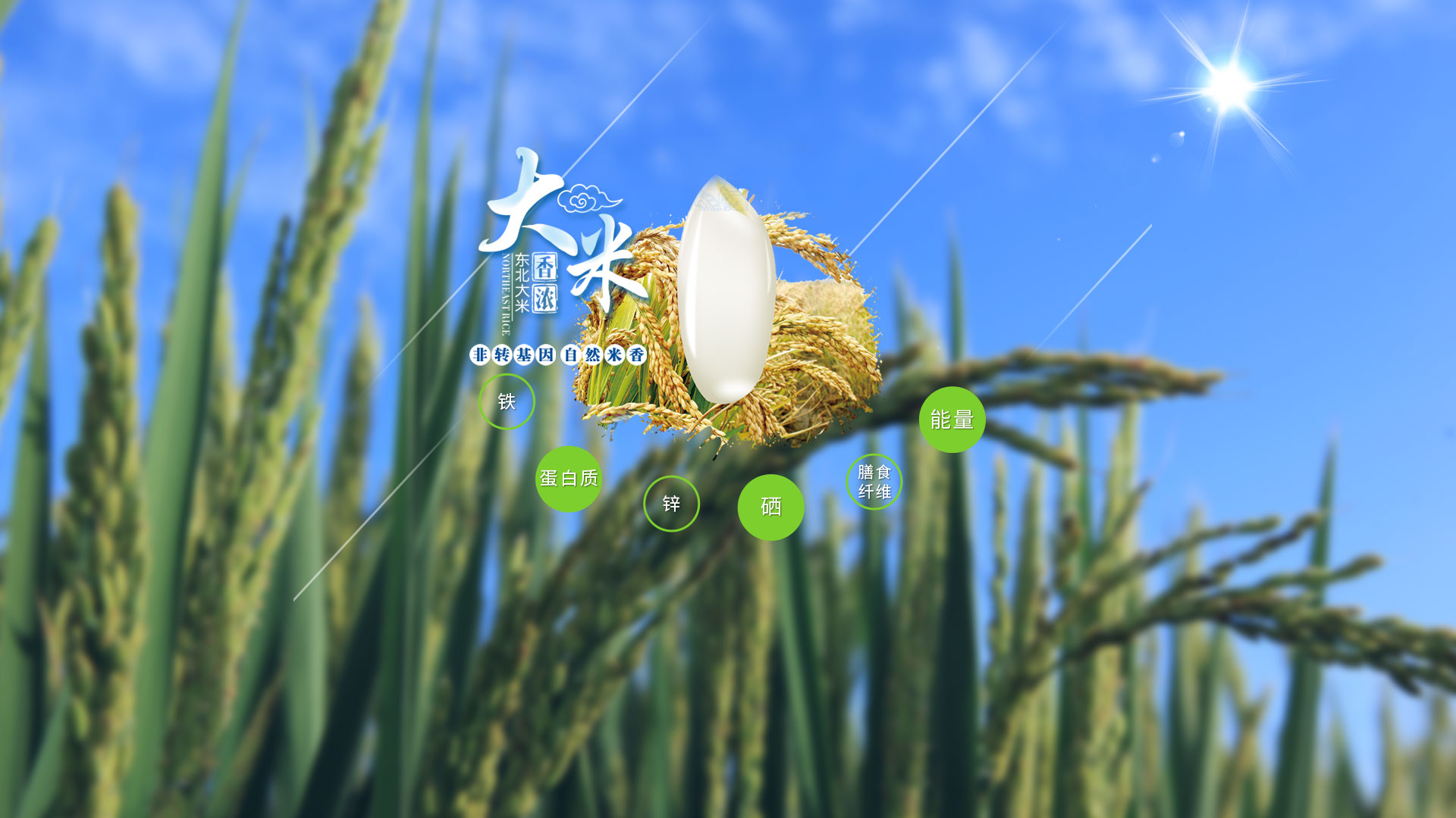 鹽豐大米